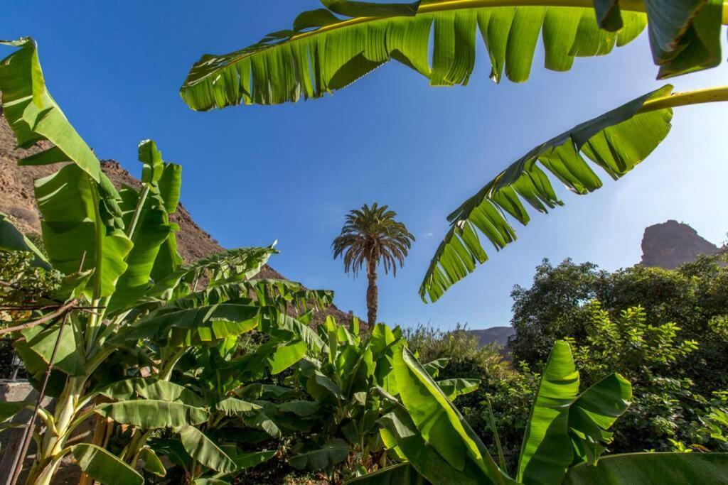 Vivienda Vacacional La Finca Los Palmitos Eksteriør billede